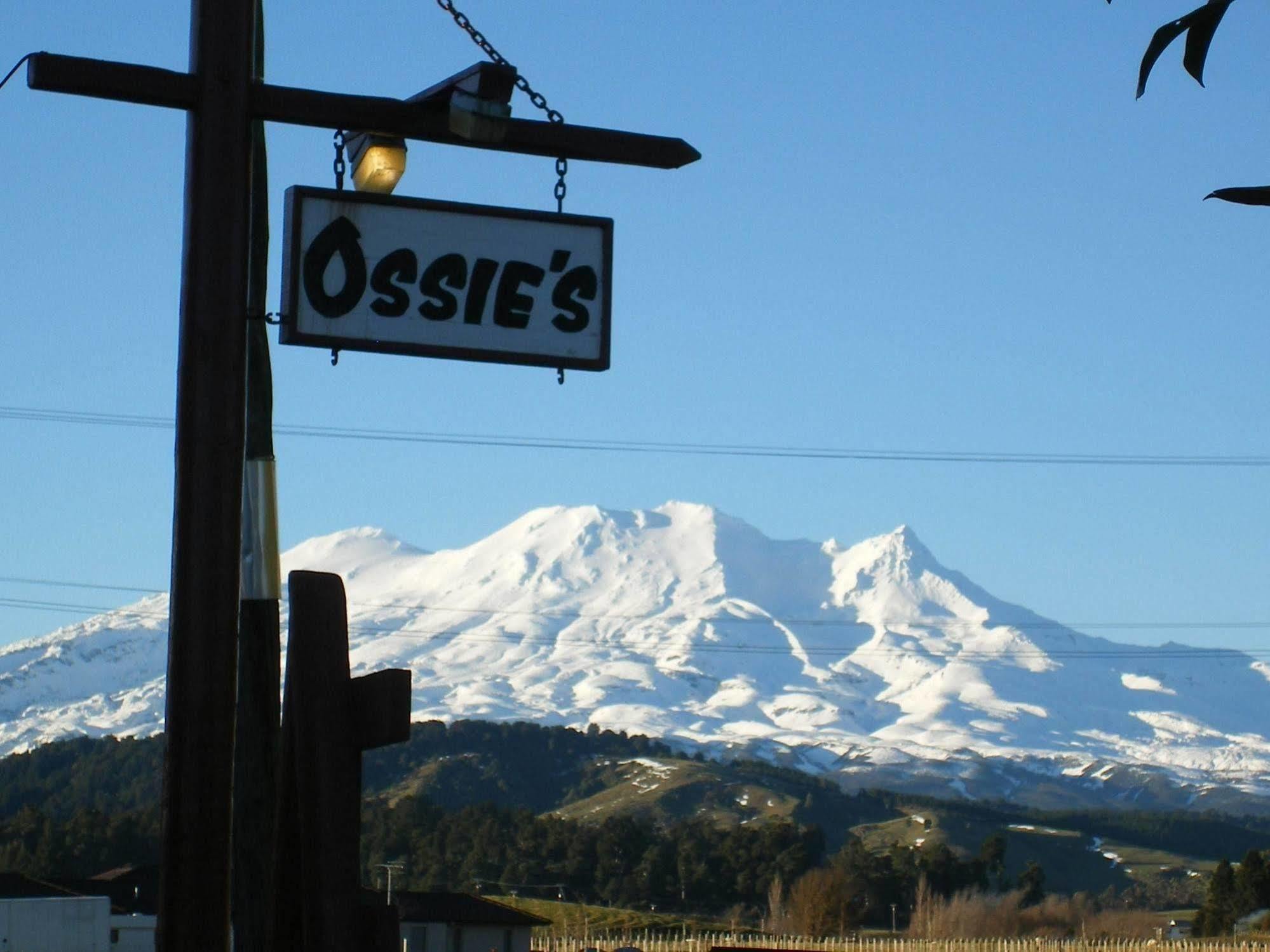 Ossies Motels And Chalets Ohakune Exterior photo